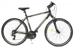 Dviratis Rocksbike CITY NEUTRONE 28", žalias/pilkas