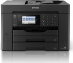 Epson C11CH67402, spalvotas