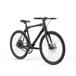 Sharp Hibridinis elektrinis dviratis, 21", 250W, Juodos matinės spalvos (BK-RS08-EB)