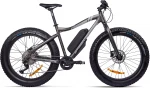 Elektrinis dviratis GZR Rough-e Fatbike 19", pilkas