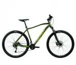 Kalnų dviratis Devron Riddle M2.9 29", žalias