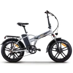 Elektrinis dviratis Skyjet RSIII Pro 20", pilkas