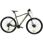 Kalnų dviratis Devron Riddle Man 2,9 29", žalias