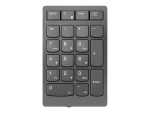 Lenovo | Professional | Go Wireless Numeric Keypad | Numeric Keypad | Wireless | N/A | Storm Grey