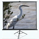 Elite Screens | Tripod Series | T100UWV1 | Diagonal 100 " | 4:3 | Viewable screen width (W) 203 cm | Black