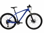 Elektrinis dviratis Vulcan 29 MTB DV 490mm, pilkas