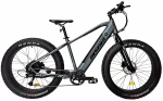 Elektrinis dviratis Insera e-Muffle 9-V Bafang Rear 26", tamsiai pilkas
