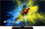 GoGEN televizorius TVF 43M340 STWEB LED 43'' Full HD