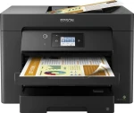 Epson C11CH68404, spalvotas