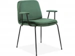 2-jų kėdžių su porankiais komplektas Notio Living Heino, žalias/juodas