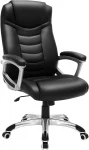 Biuro kėdė Songmics OBG21B, juoda