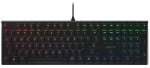 CHERRY MX 10.0N RGB Juodas/CORDED Klaviatūra USB EU