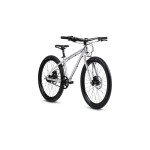 Dviratis vaikams Early Rider Belter 24", sidabrinės spalvos