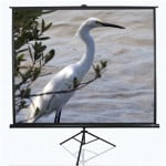 Elite Screens T120NWV1 (243 x 182 cm)