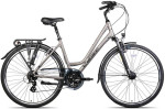 Dviratis Unibike Vision LDS 2024 graphite-17" (Dydis: 17")