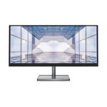 Lenovo L29w-30 29" QHD Monitor 66E5GAC3EU