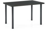 MODEX 2 120 table, color: antracite