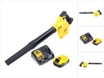 Akumuliatorinis lapų pūstuvas DeWalt DCV 100 P1